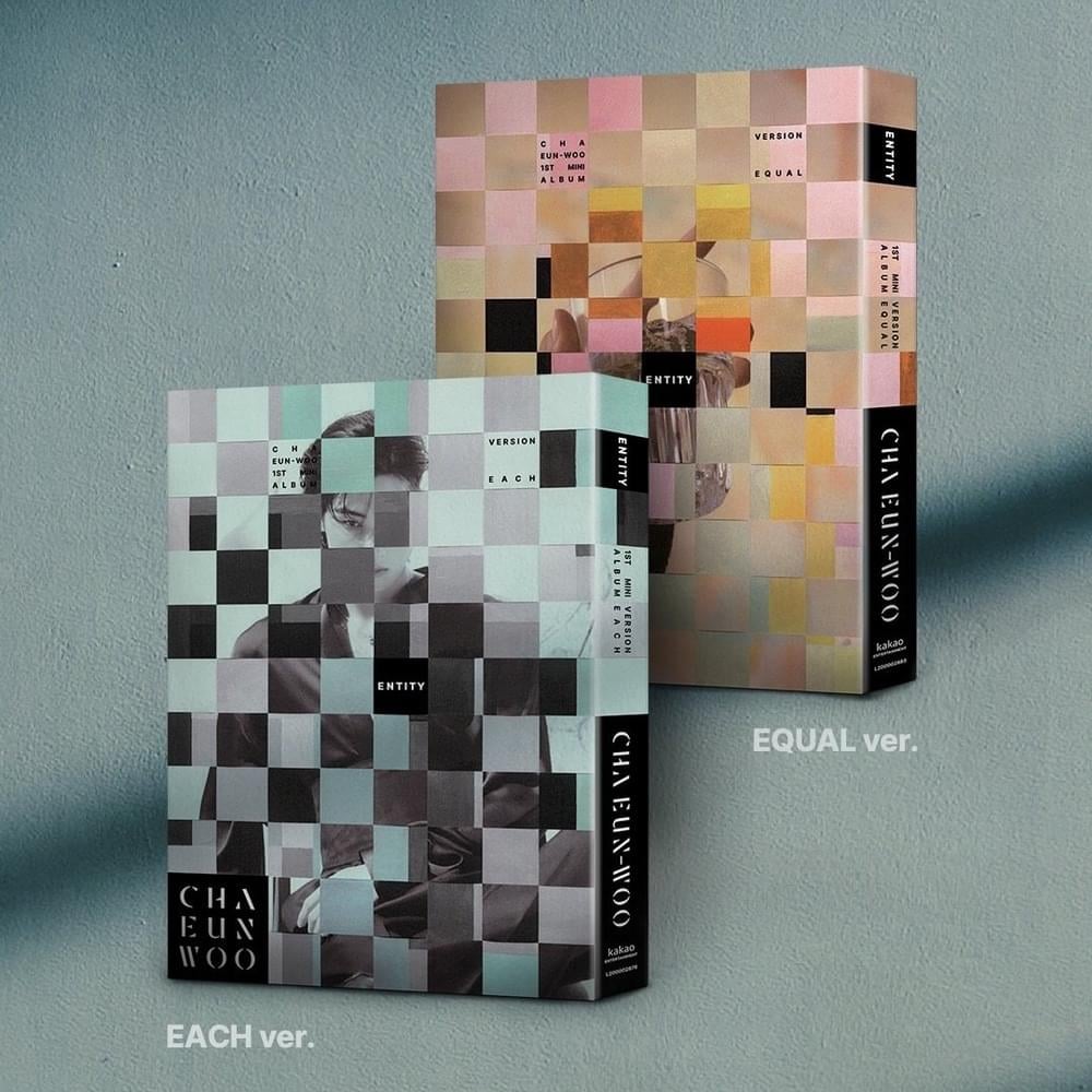 CHA EUNWOO - ENTITY