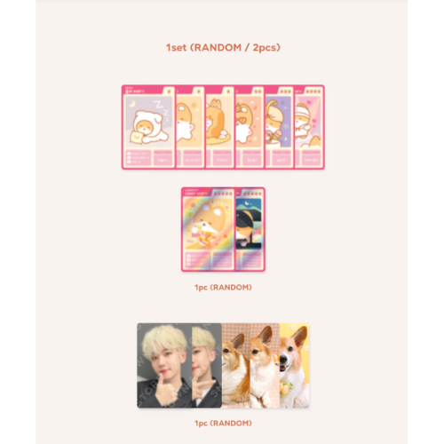 BAEKHYUN TEOLAEGI PHOTOCARD (SET B.)