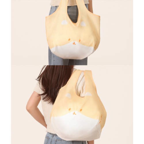 BAEKHYUN TEOLAEGI REUSABLE BAG