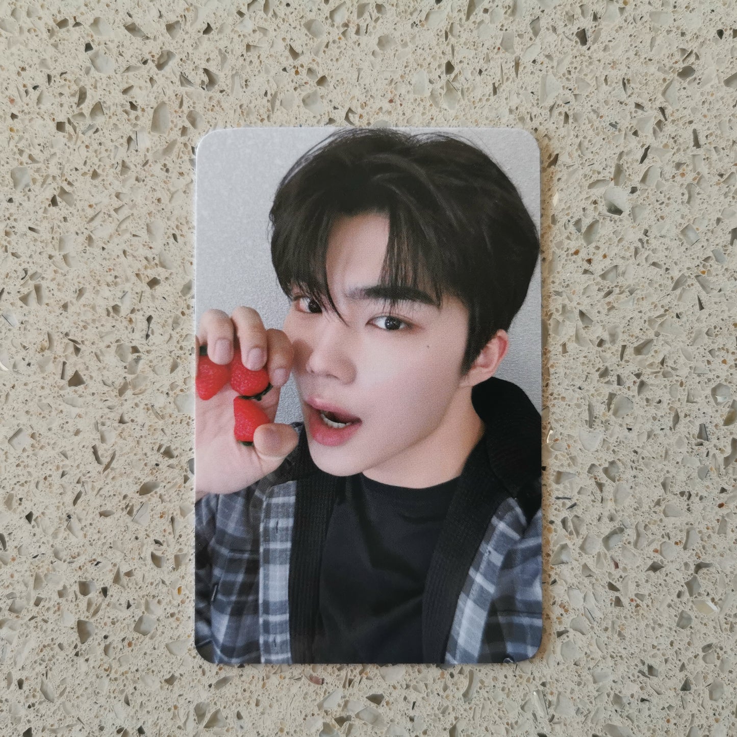 ZEROBASEONE EVERLINE LUCKY DRAW PHOTOCARDS (VITAMIN VER.)