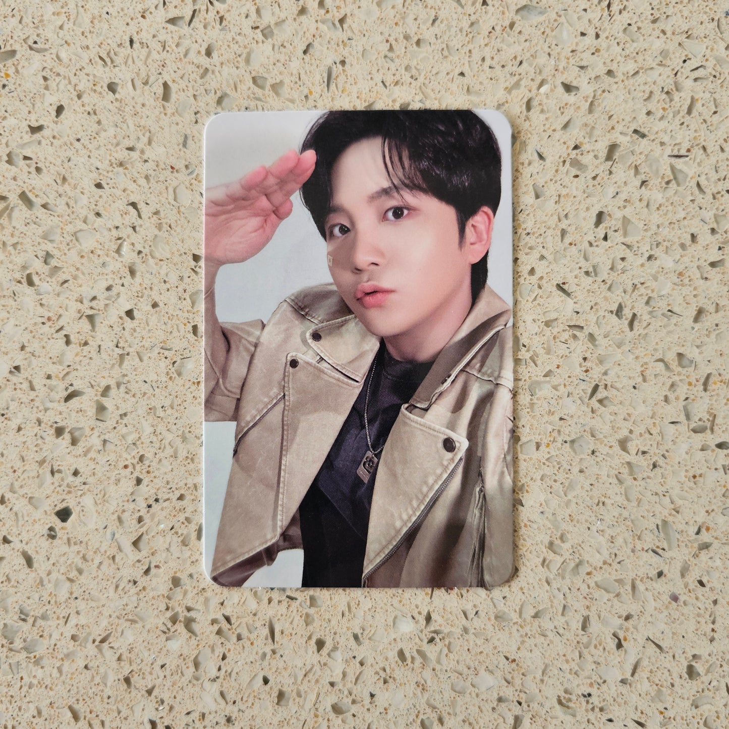 ATEEZ - ANITEEZ IN TREASURE POB PHOTOCARDS