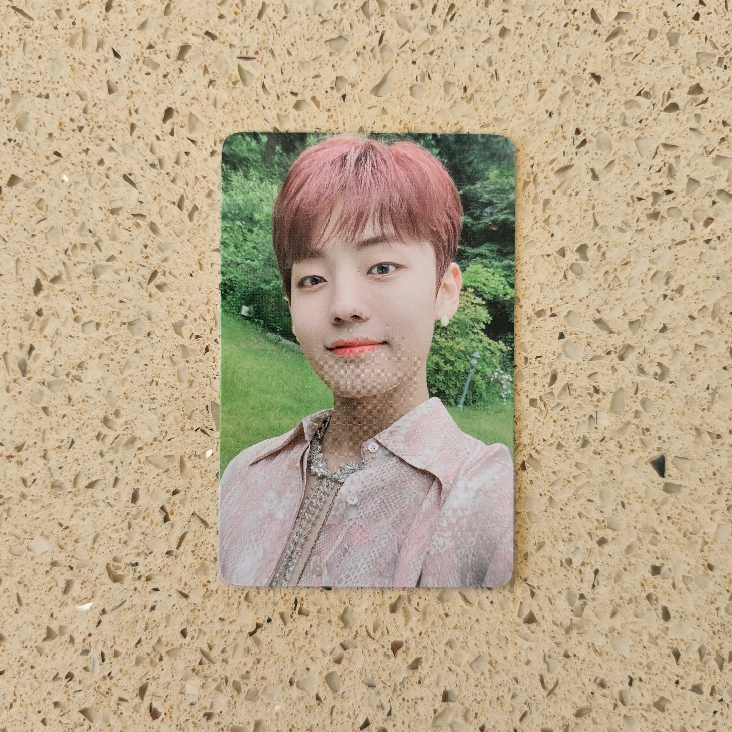 A.C.E - SIREN: DAWN WITHDRAMA POB PHOTOCARDS