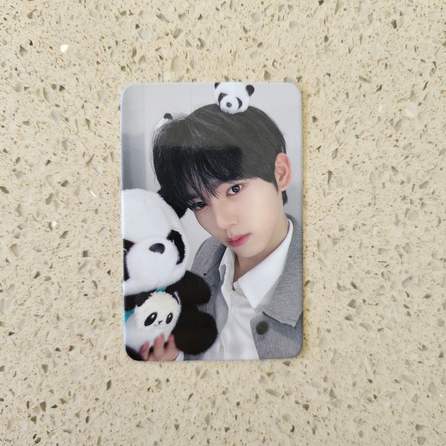 ZEROBASEONE - YOU HAD ME AT HELLO APPLE MUSIC POB PHOTOCARDS