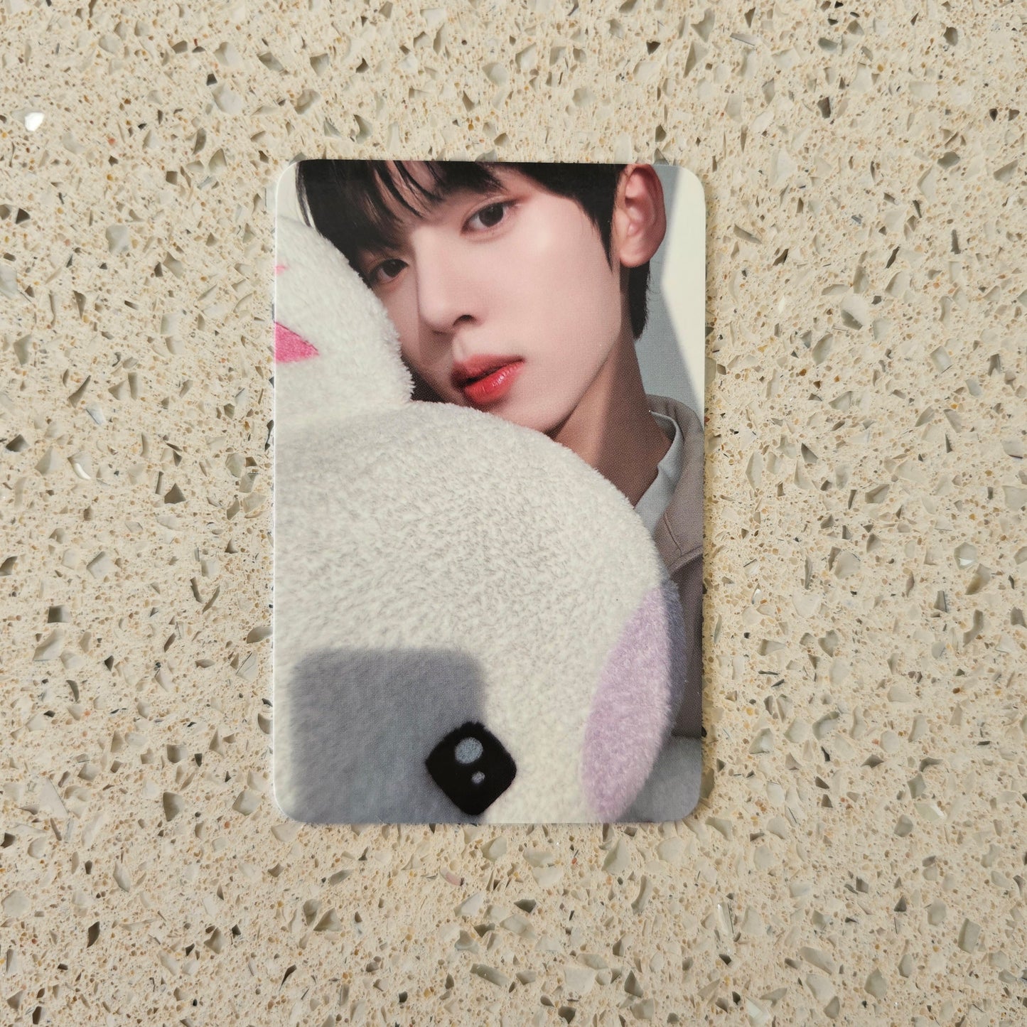 ZEROBASEONE - YOU HAD ME AT HELLO KAKAO GIFT POB PHOTOCARDS