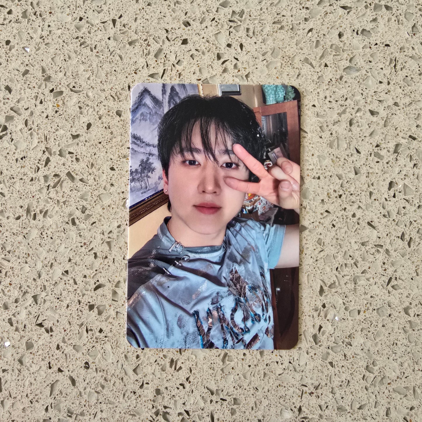 STRAY KIDS - THIS & THAT MUSICPLANT POB PHOTOCARDS