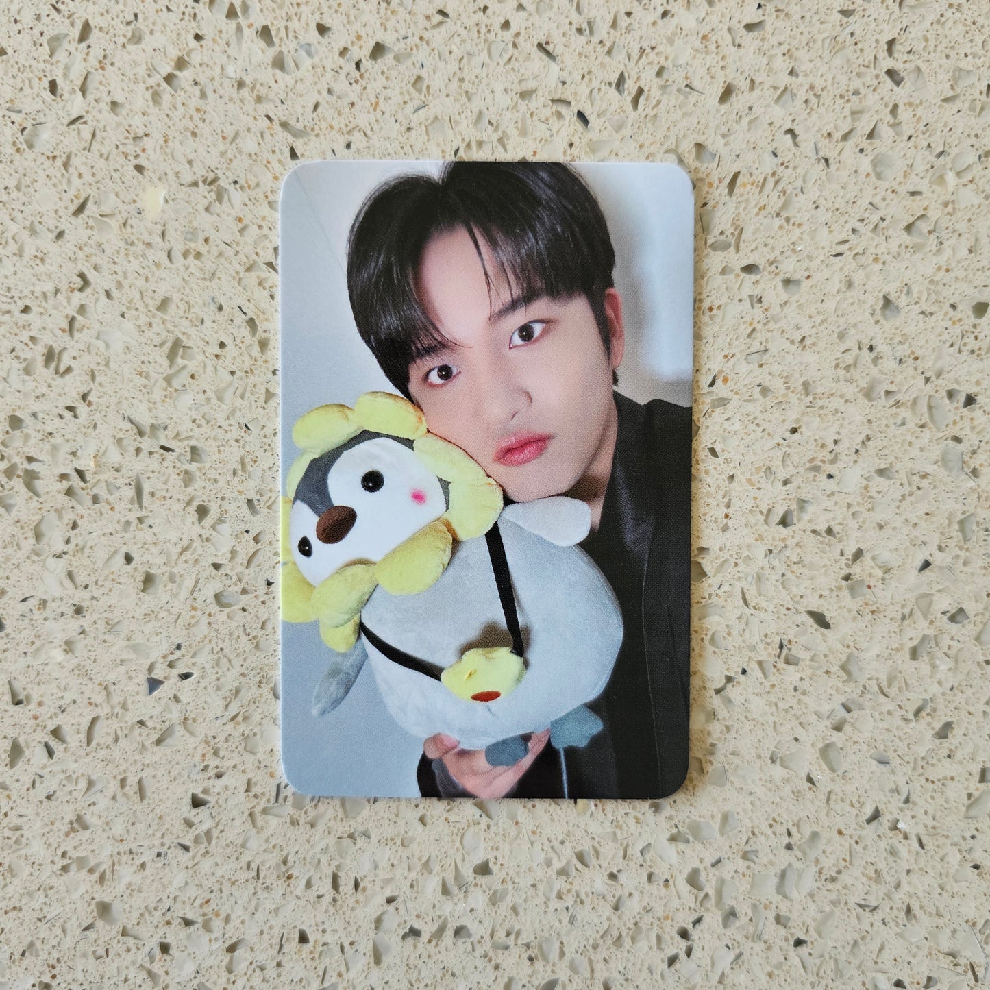 ATEEZ GOLDEN HOUR: PART 2 EVERLINE VIDEO CALL PHOTOCARDS (PENGUIN VER.)