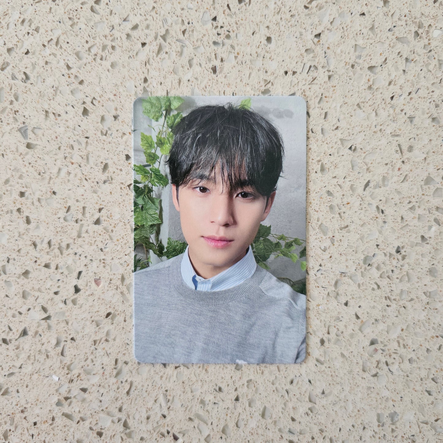 SEVENTEEN - EXPIRATION DATE TOWER RECORDS POB PHOTOCARDS