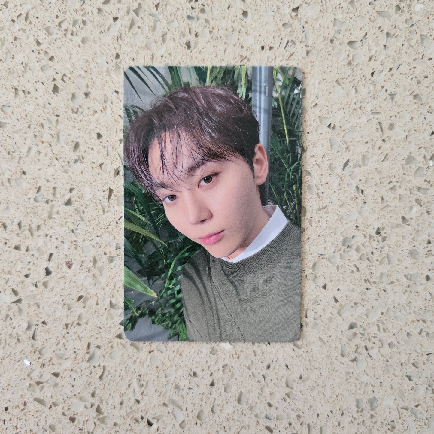 SEVENTEEN - EXPIRATION DATE TOWER RECORDS POB PHOTOCARDS