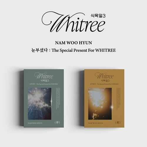 PRE-ORDER - NAM WOO HYUN - THE SPECIAL PRESENT FOR WHITREE