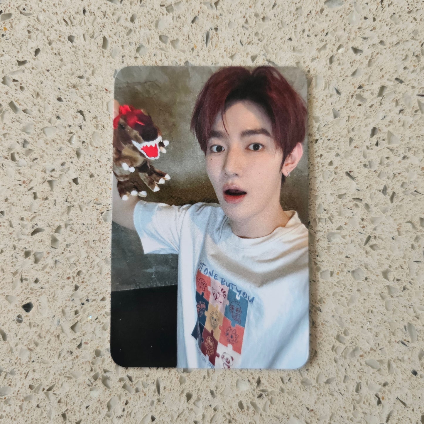 ZEROBASEONE - NEVER SAY NEVER SOUNDWAVE POB PHOTOCARDS