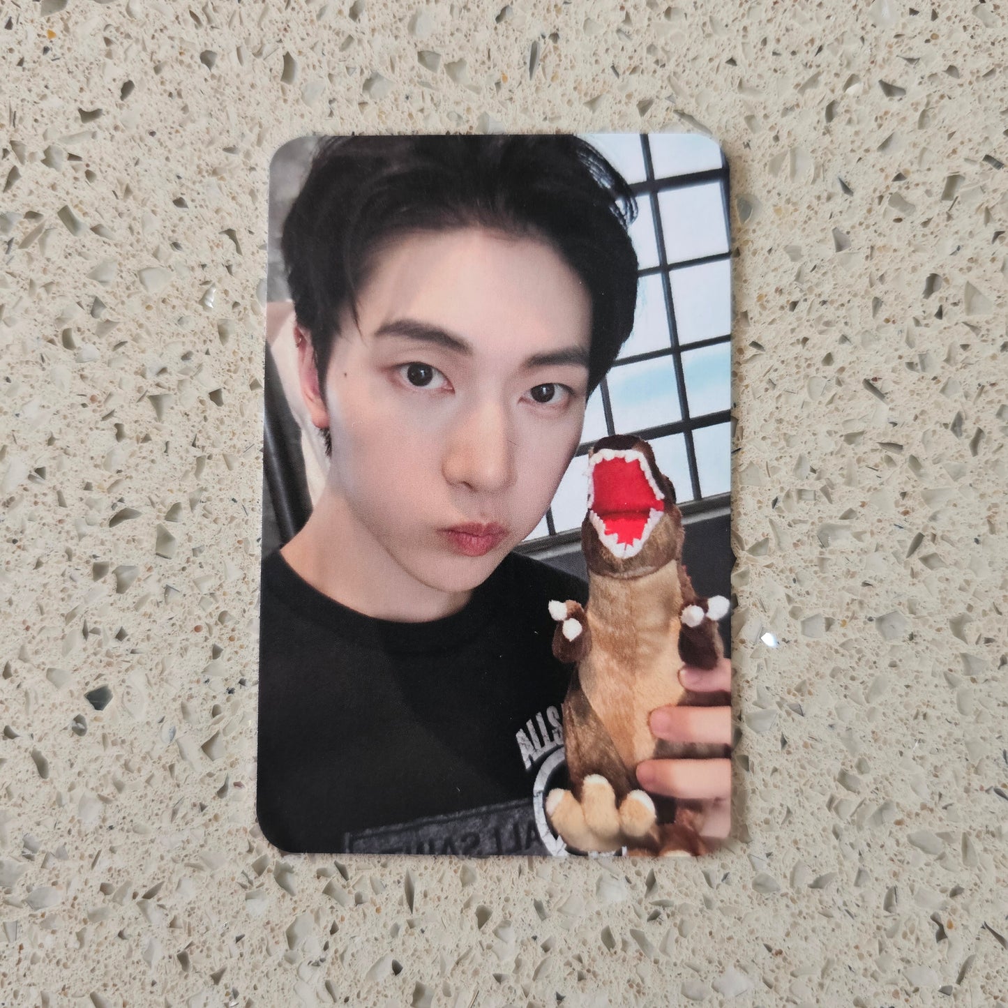 ZEROBASEONE - NEVER SAY NEVER SOUNDWAVE POB PHOTOCARDS