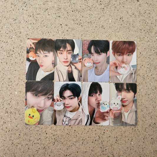 ZEROBASEONE X LINE FRIENDS ZERONI REWARD PHOTOCARDS