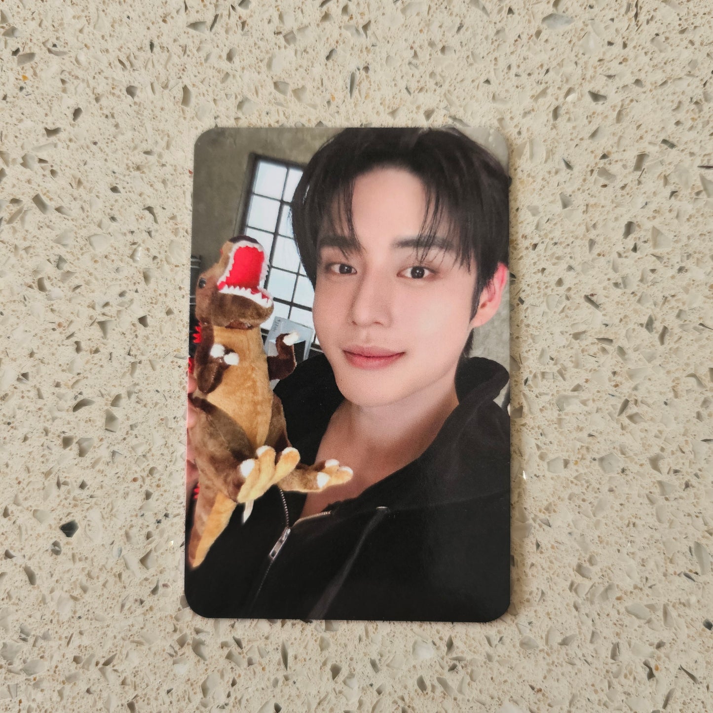 ZEROBASEONE - NEVER SAY NEVER SOUNDWAVE POB PHOTOCARDS