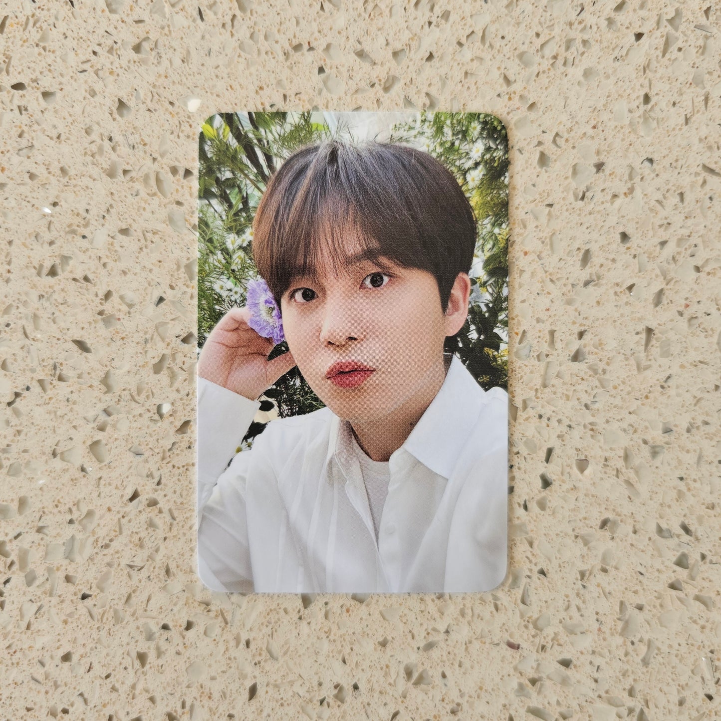 ATEEZ - NACIFIC FLOWERING DAY PHOTOCARDS