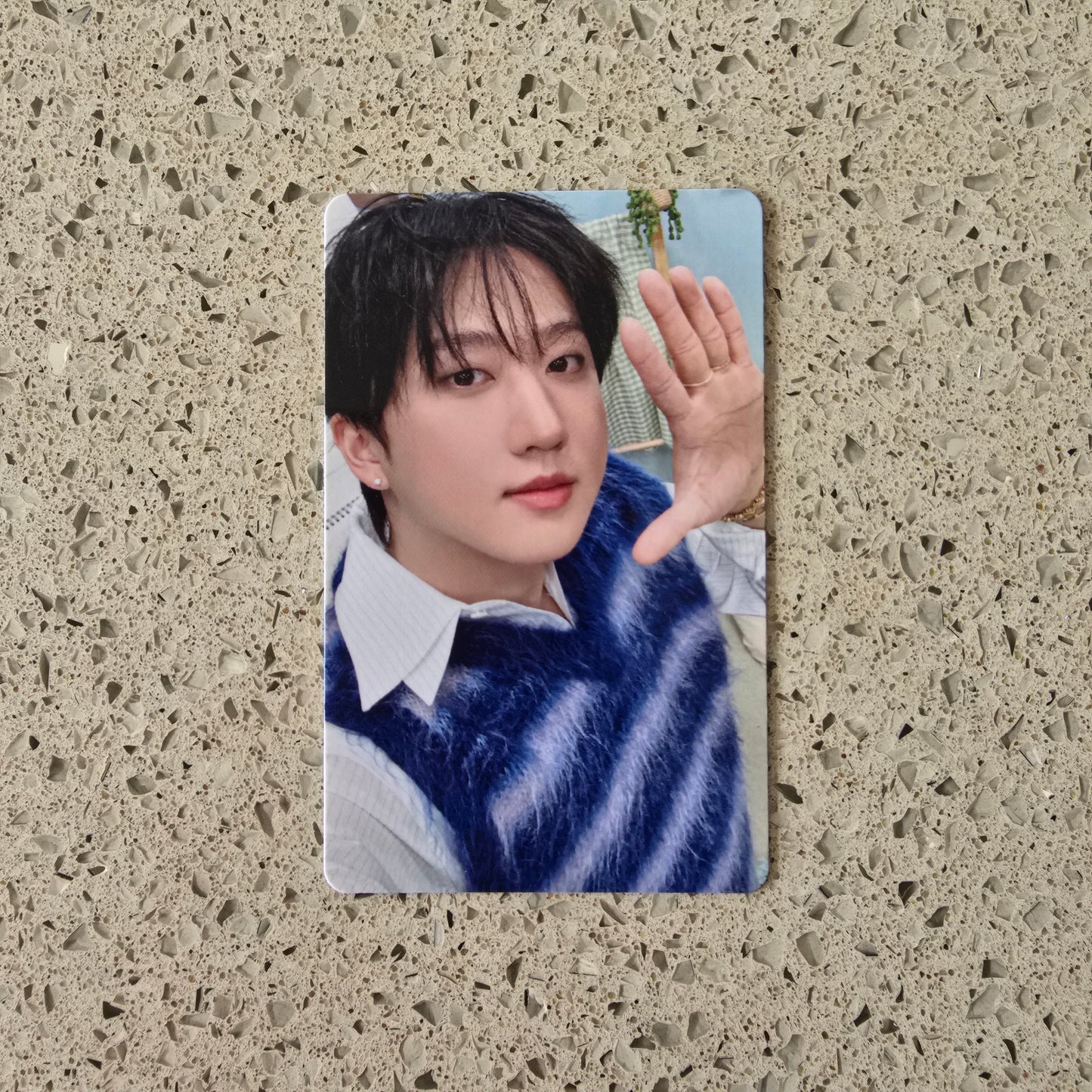 STRAY KIDS - STAY IN OUR LITTLE HOUSE FANMEETING POB PHOTOCARDS