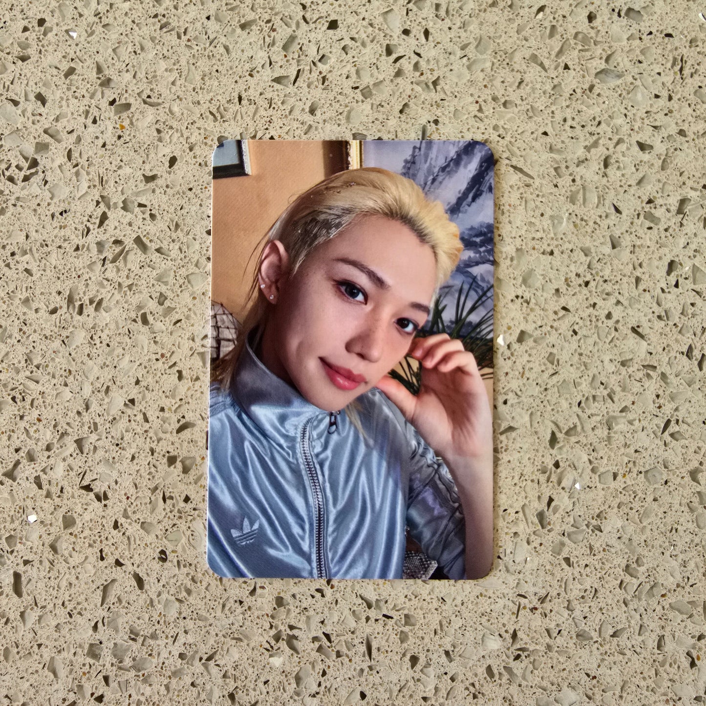 STRAY KIDS - THIS & THAT MUSICPLANT POB PHOTOCARDS
