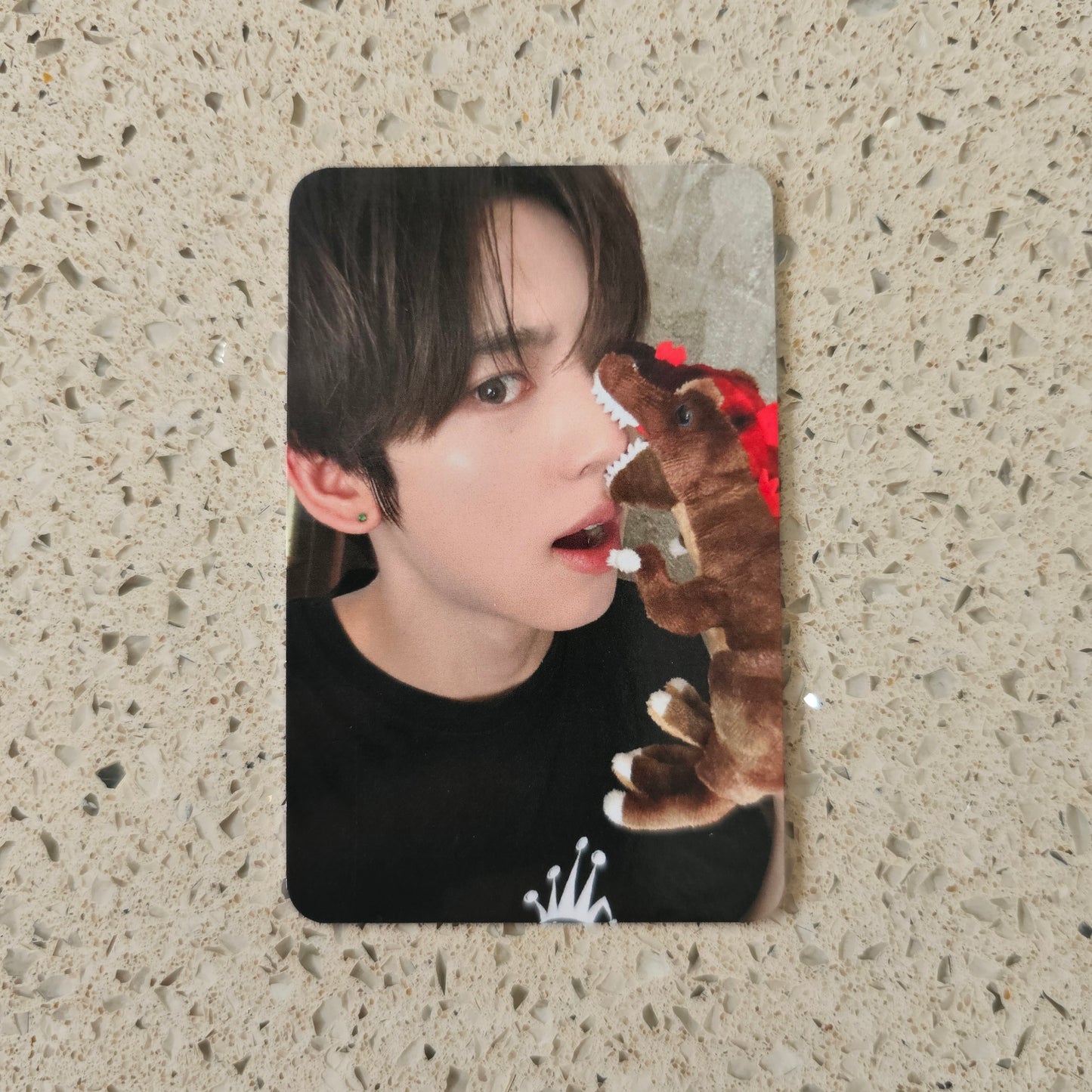 ZEROBASEONE - NEVER SAY NEVER SOUNDWAVE POB PHOTOCARDS
