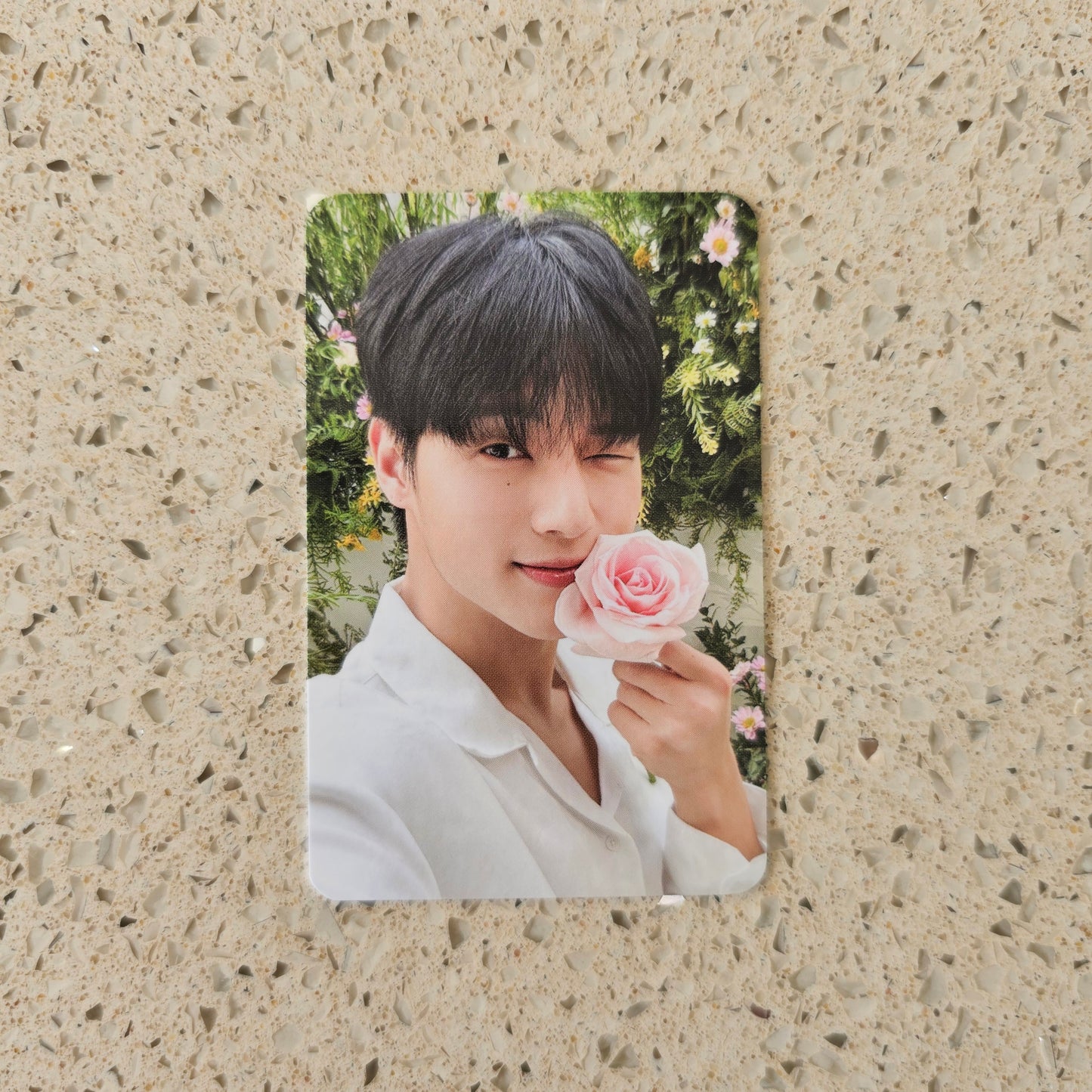 ATEEZ - NACIFIC FLOWERING DAY PHOTOCARDS