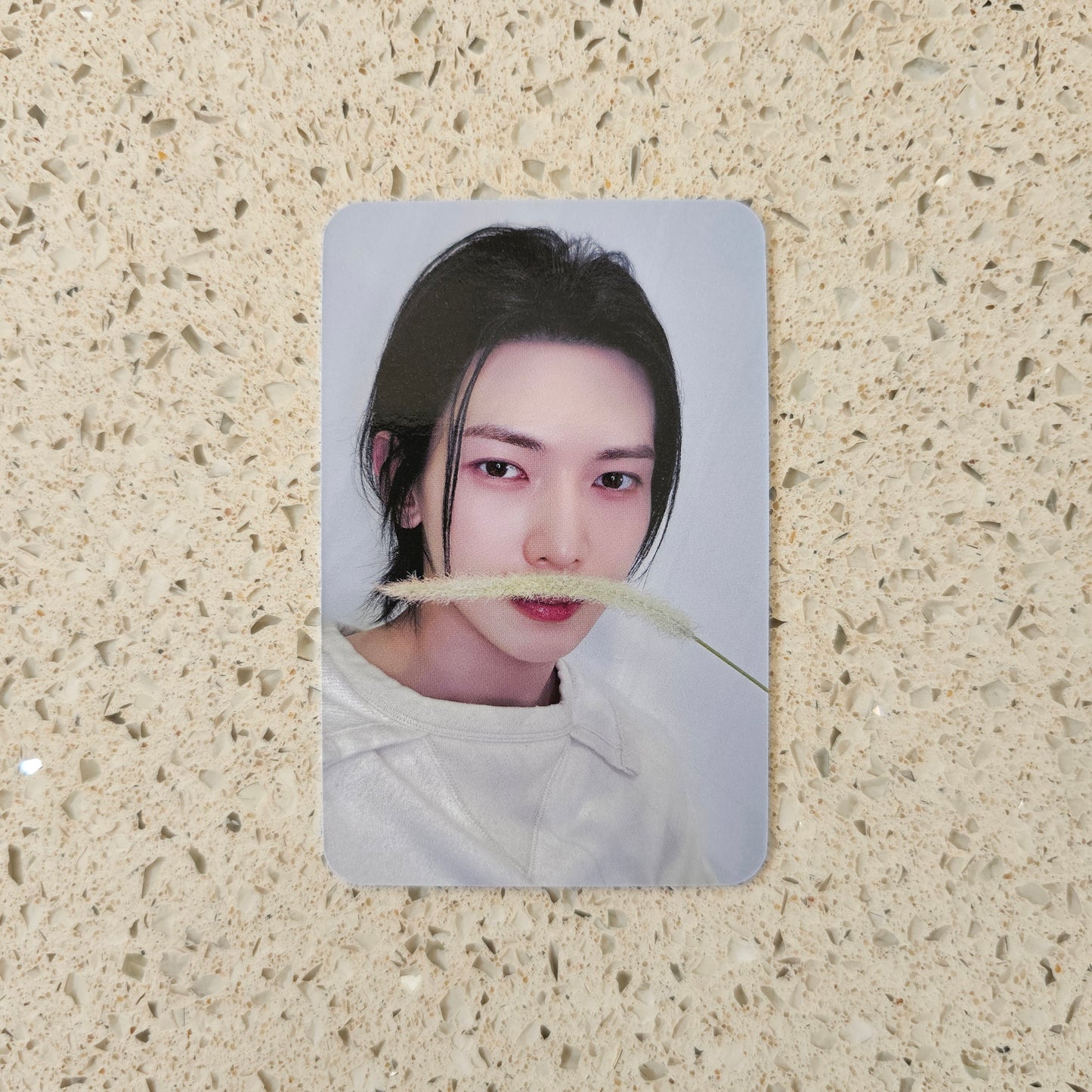 ATEEZ - GOLDEN HOUR : PART 3 DEAR MY MUSE POB PHOTOCARDS