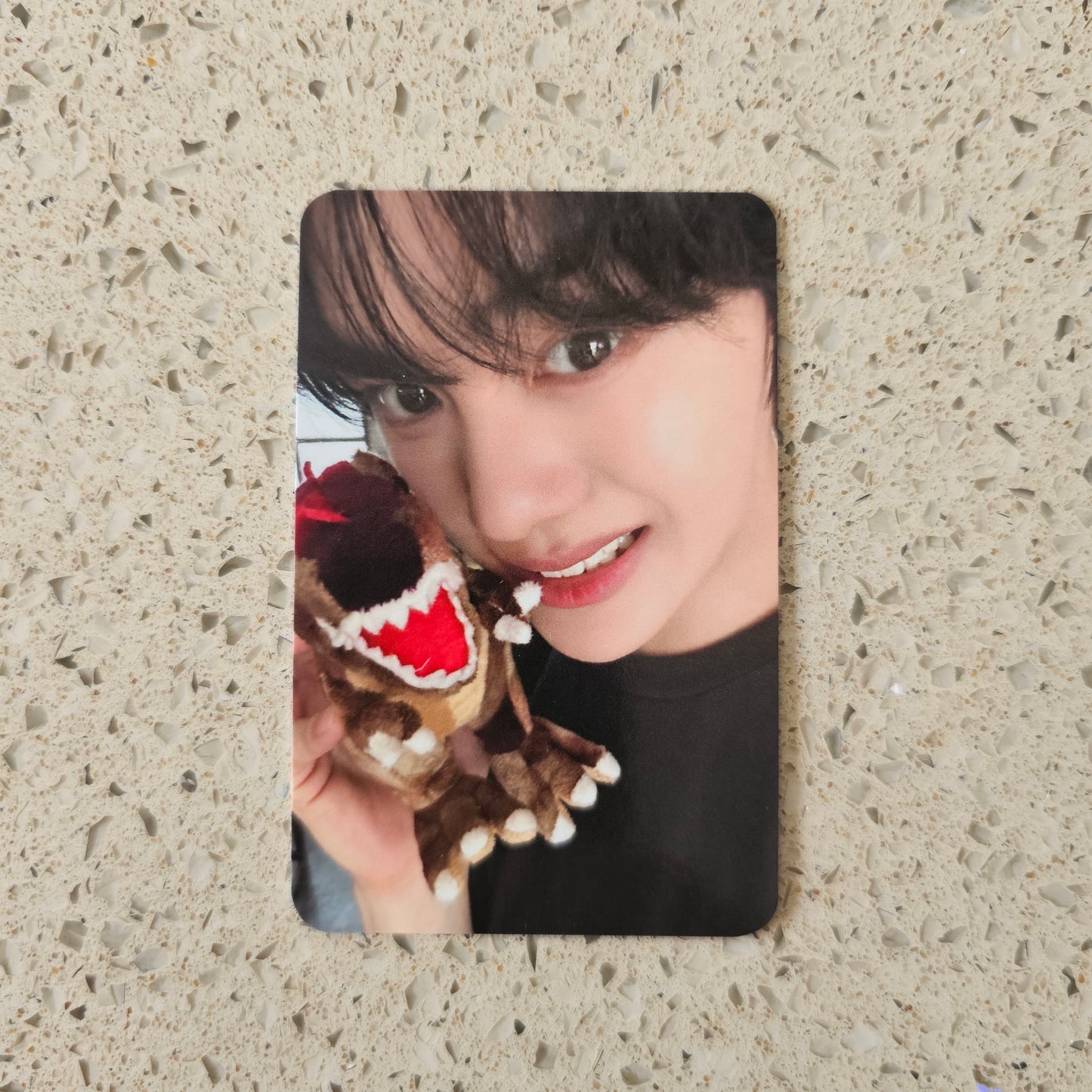 ZEROBASEONE - NEVER SAY NEVER SOUNDWAVE POB PHOTOCARDS