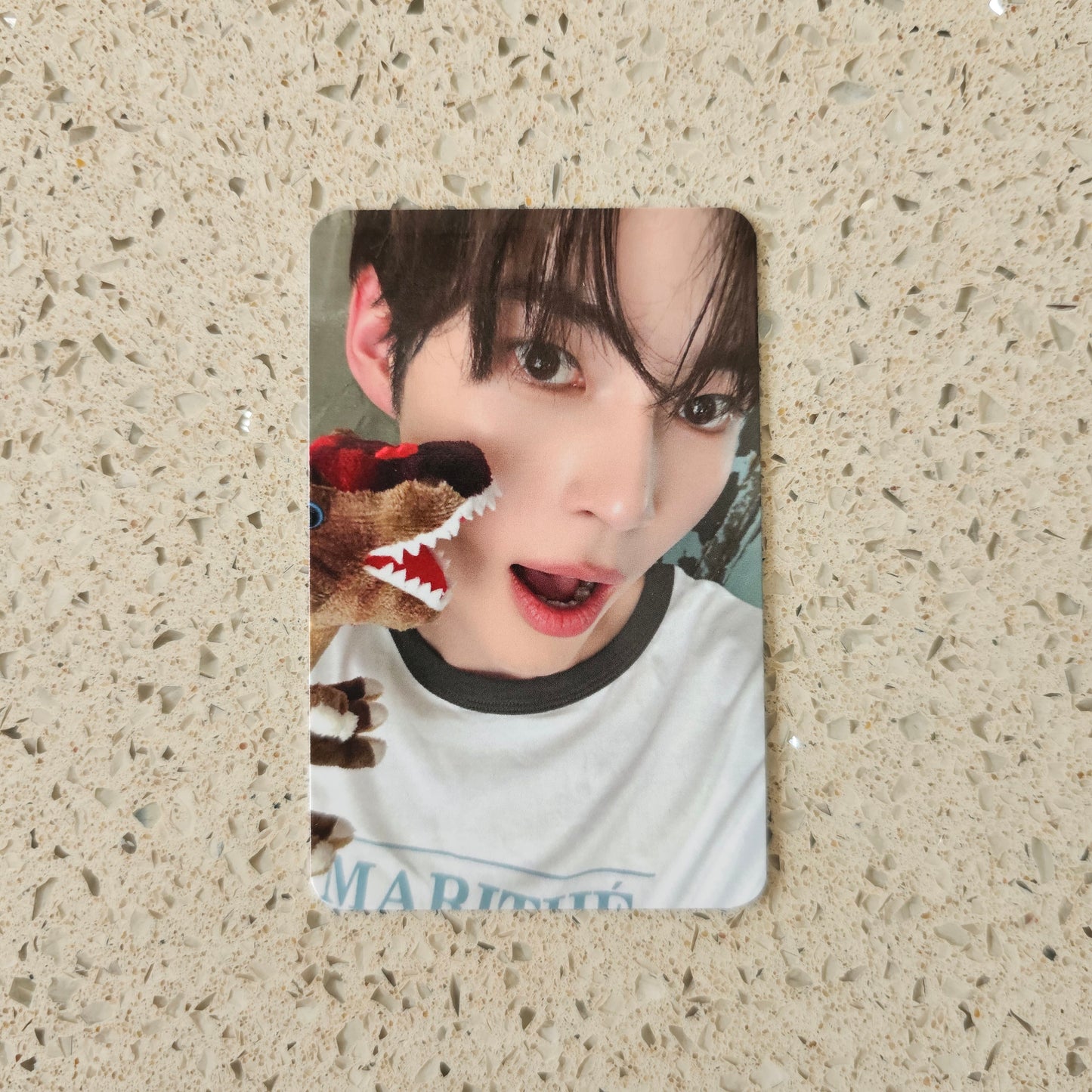 ZEROBASEONE - NEVER SAY NEVER SOUNDWAVE POB PHOTOCARDS