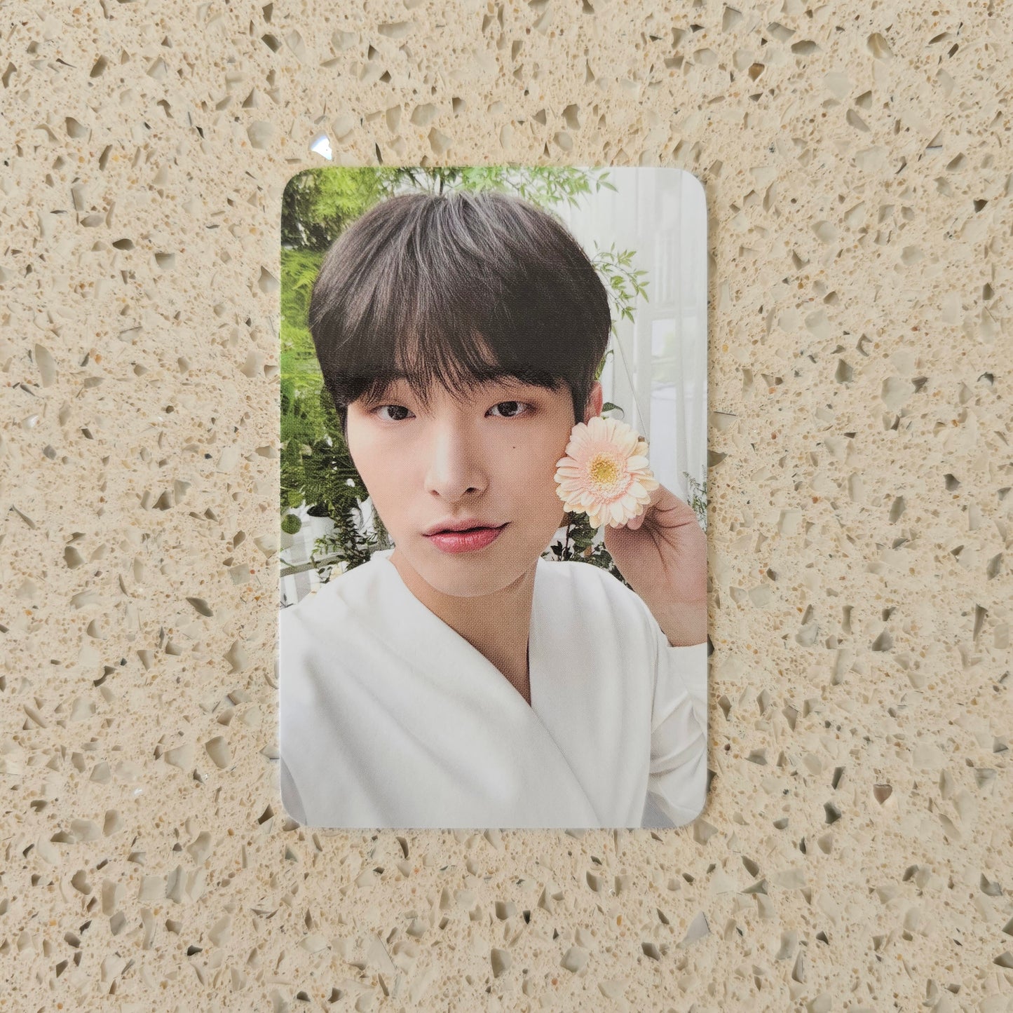 ATEEZ - NACIFIC FLOWERING DAY PHOTOCARDS