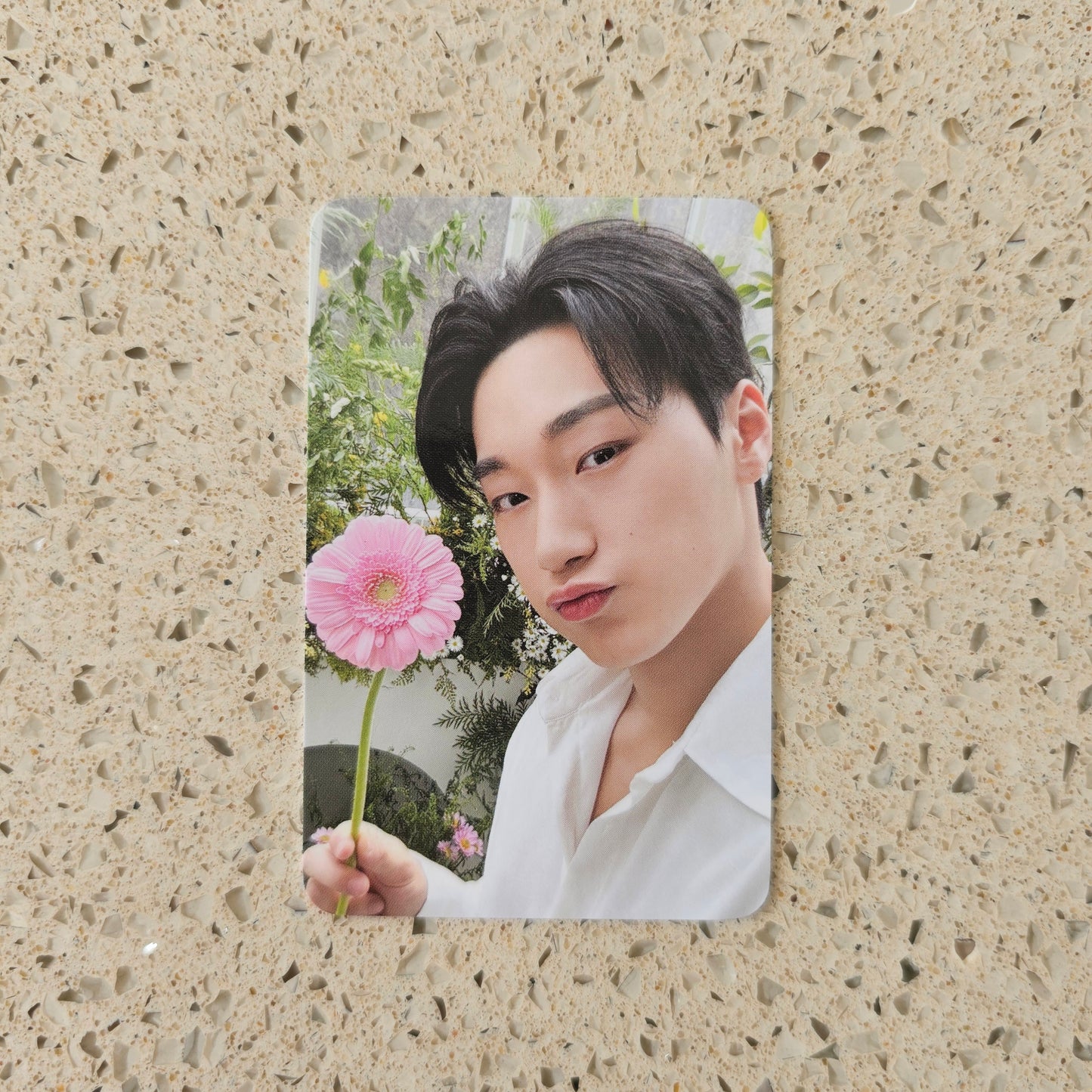 ATEEZ - NACIFIC FLOWERING DAY PHOTOCARDS