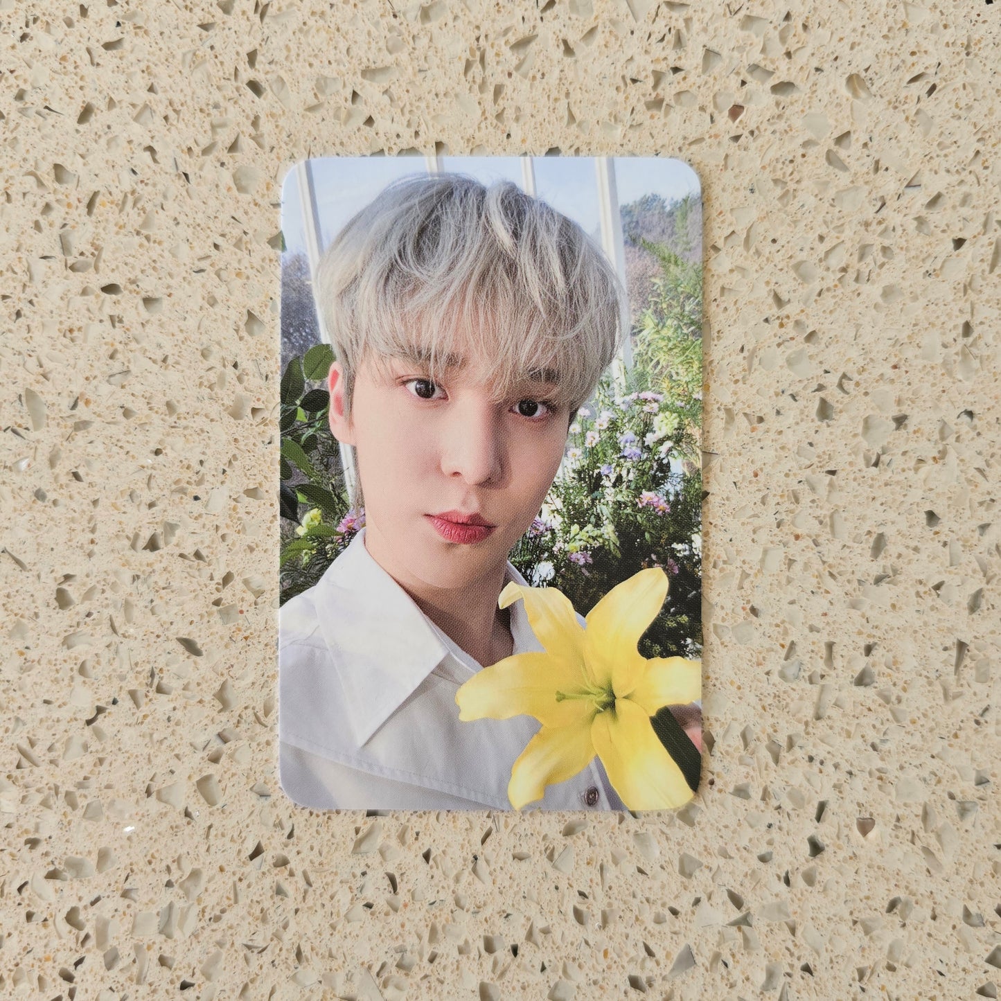 ATEEZ - NACIFIC FLOWERING DAY PHOTOCARDS