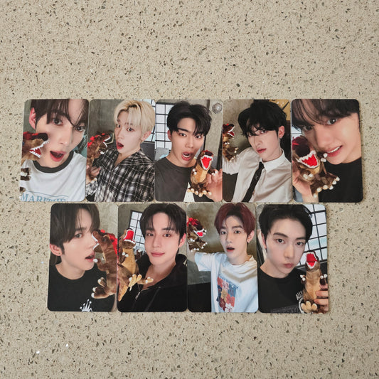ZEROBASEONE - NEVER SAY NEVER SOUNDWAVE POB PHOTOCARDS