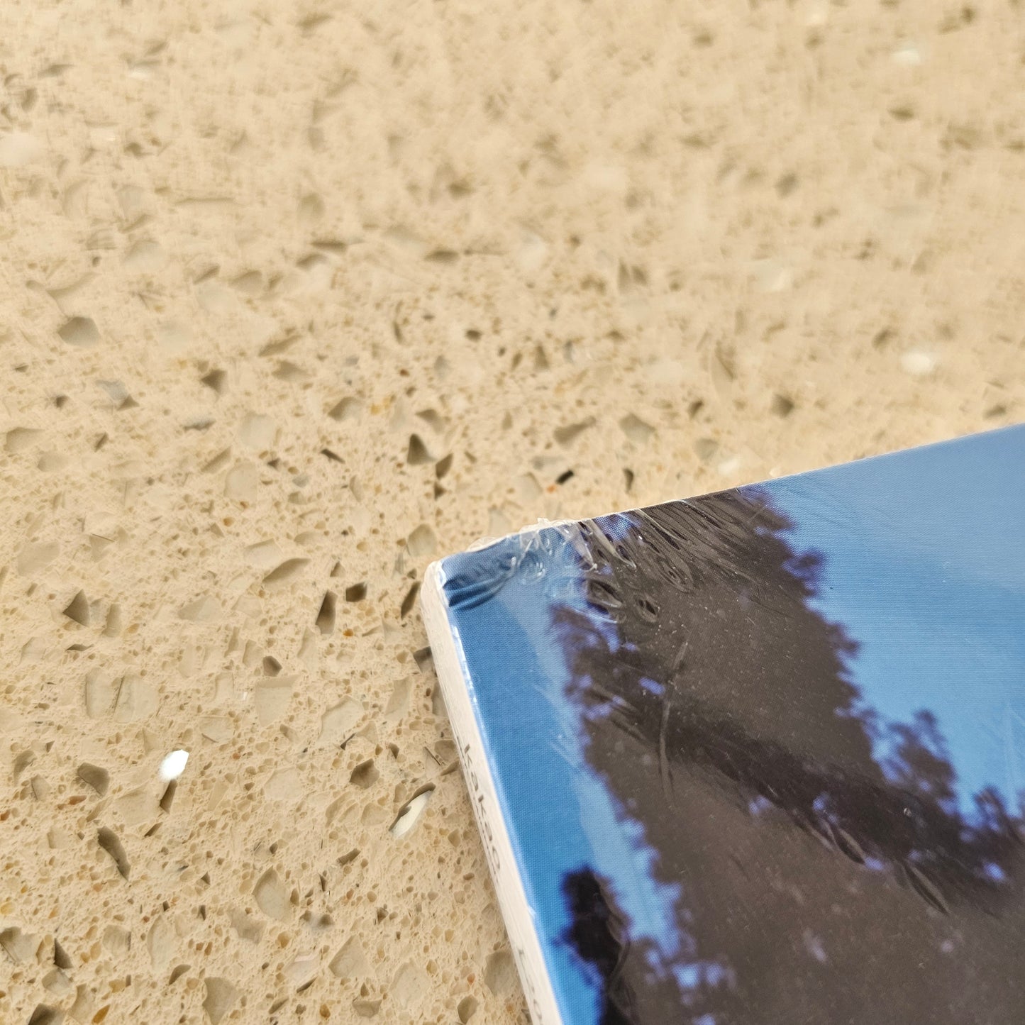 [DAMAGED] ONEWE - PLANET NINE: ALTER EGO