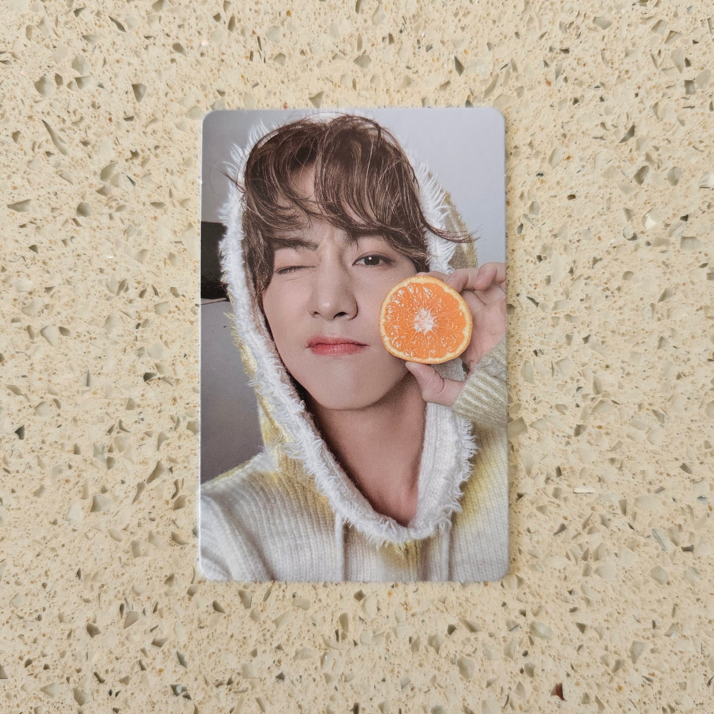 GOT7 NESTFEST TRADING PHOTOCARDS