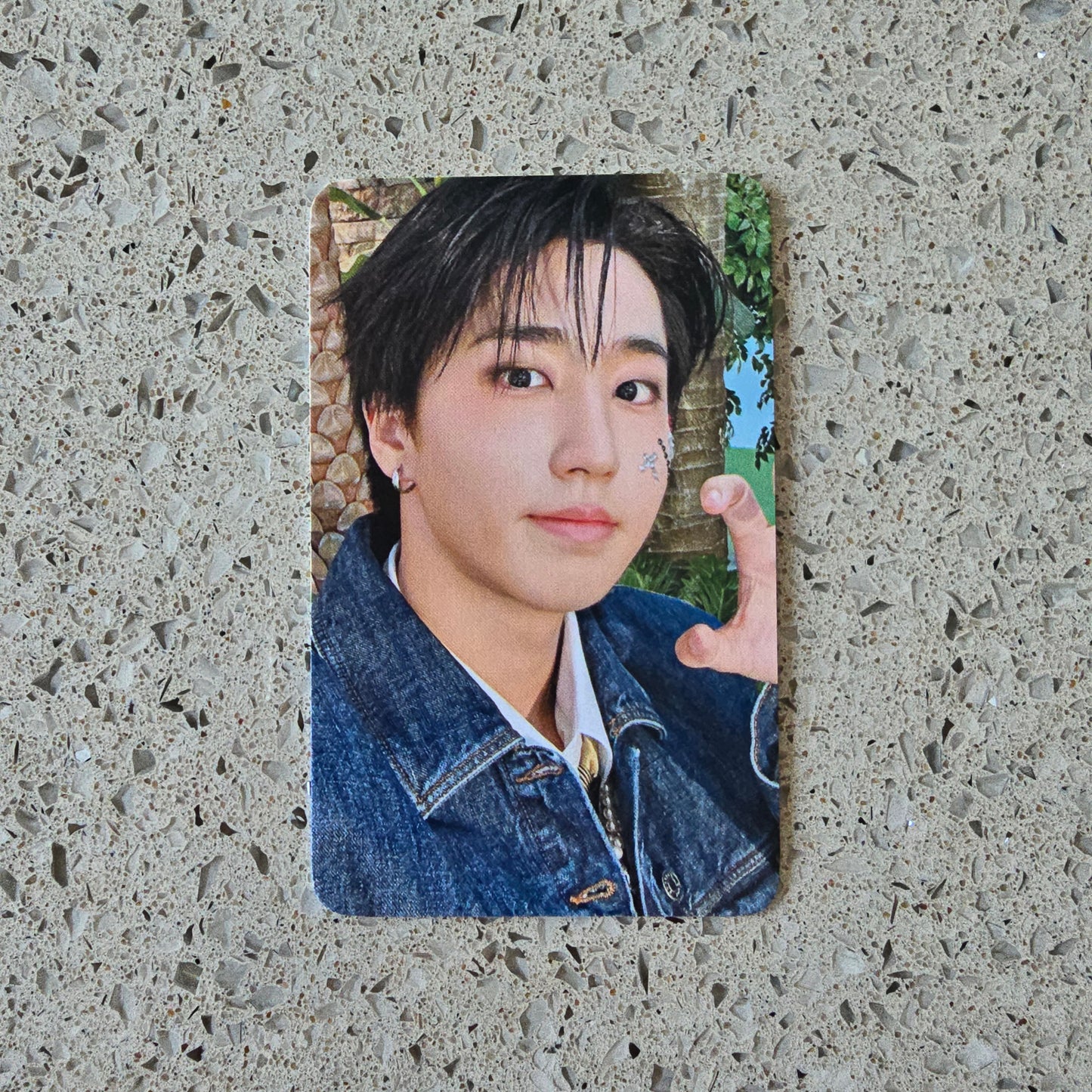 STRAY KIDS - DO IT FANS GIFT POB PHOTOCARDS