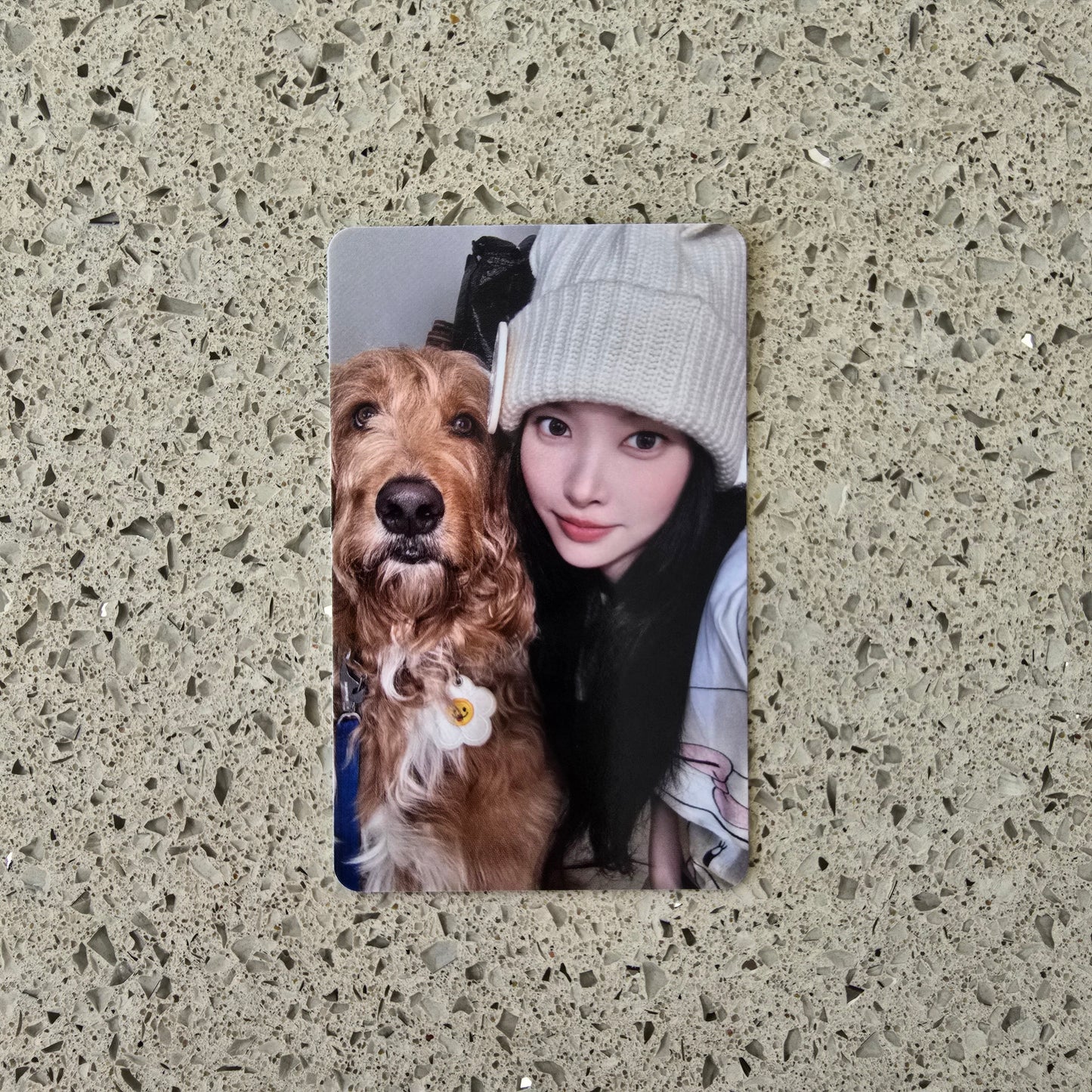 ILLIT - MAMIHLAPINATAPAI MUSIC KOREA LUCKY DRAW PHOTOCARDS