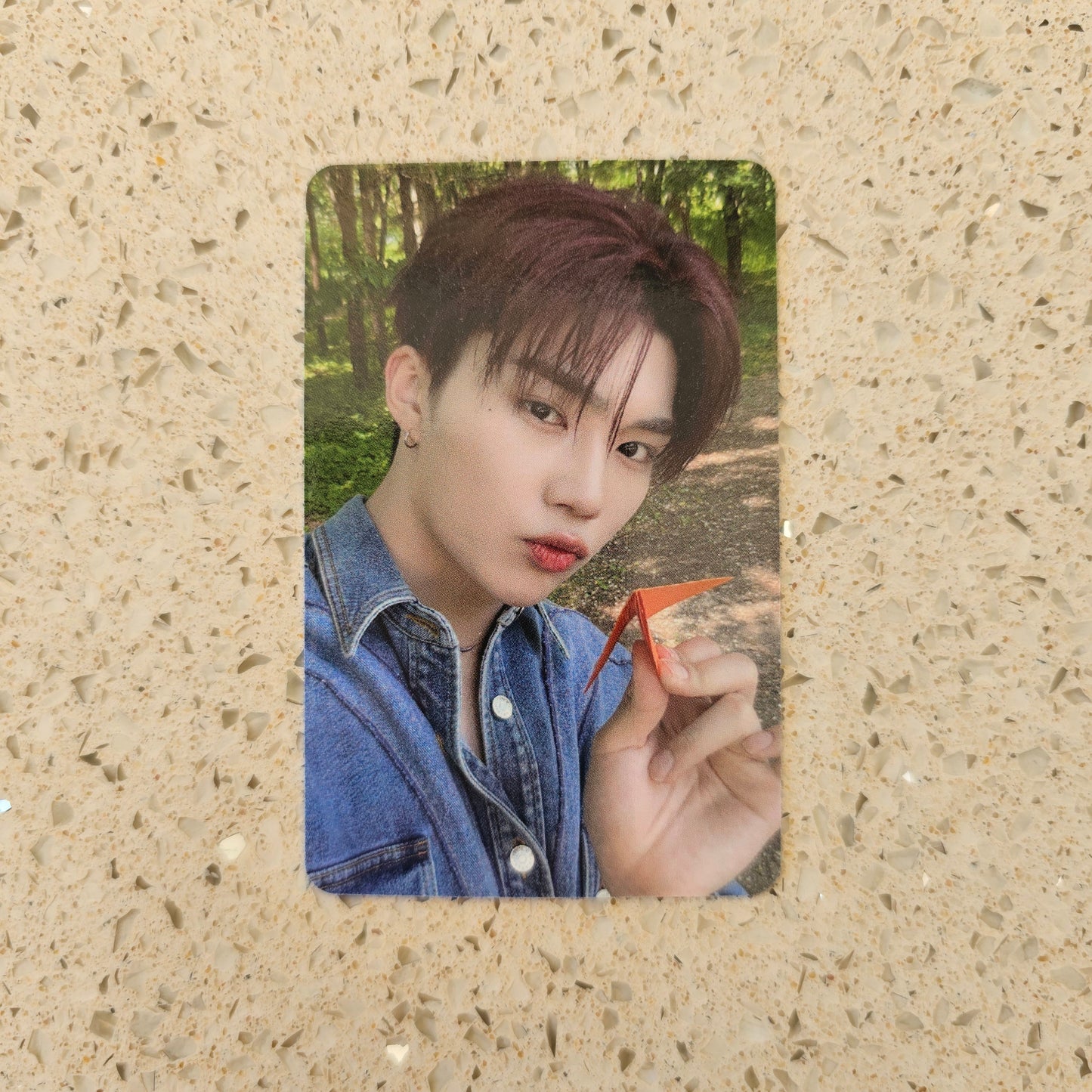 ZEROBASEONE - NEVER SAY NEVER APPLEMUSIC POB PHOTOCARDS