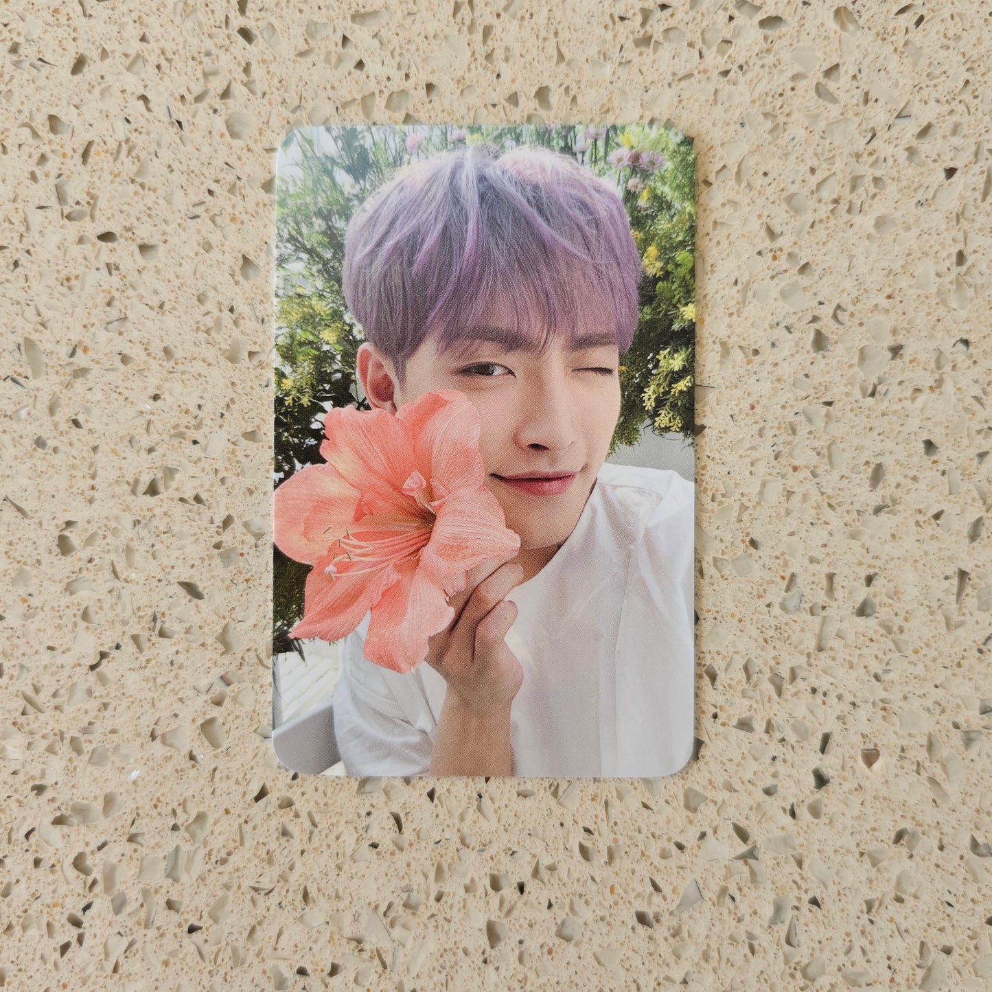 ATEEZ - NACIFIC FLOWERING DAY PHOTOCARDS