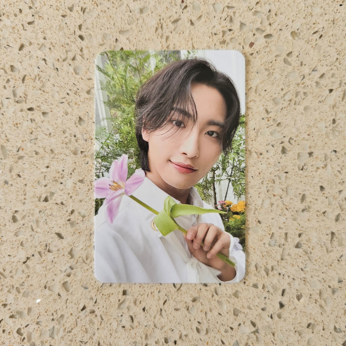 ATEEZ - NACIFIC FLOWERING DAY PHOTOCARDS