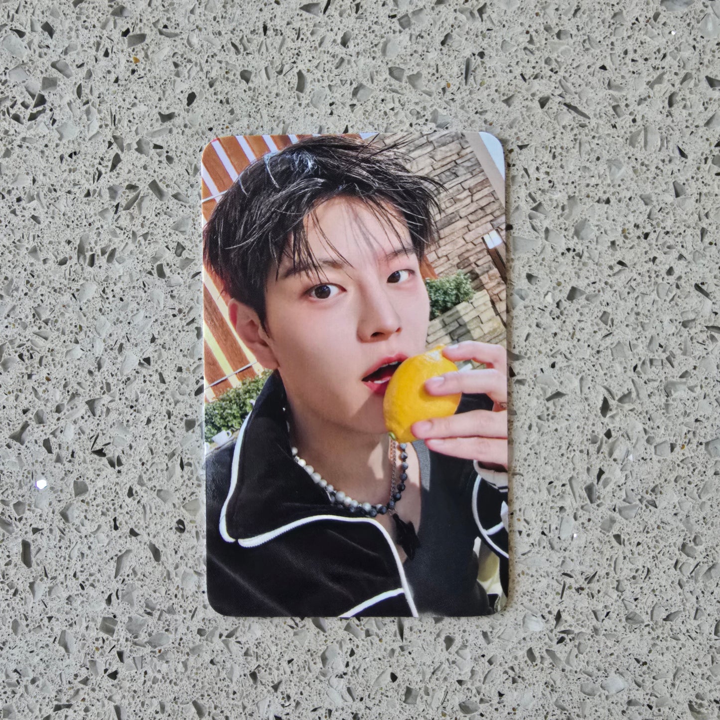 STRAY KIDS - DO IT FANS GIFT POB PHOTOCARDS