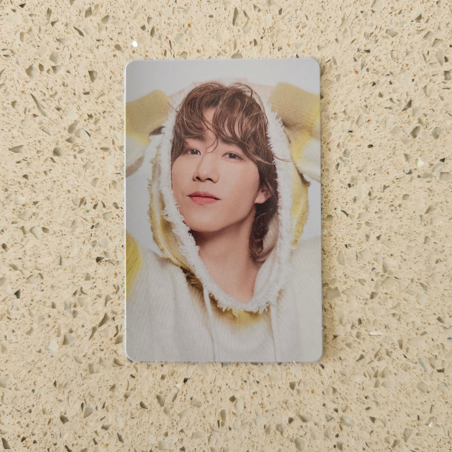 GOT7 NESTFEST TRADING PHOTOCARDS