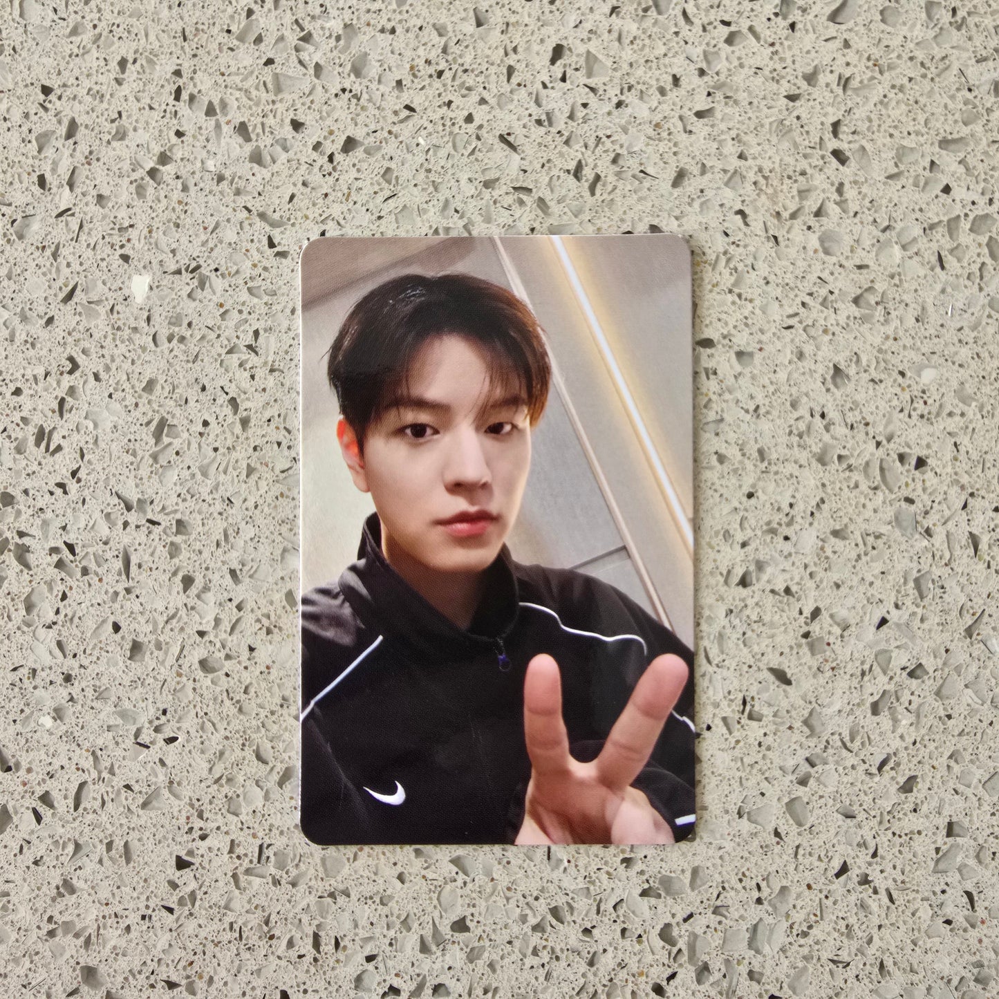 STRAY KIDS - THIS & THAT ALADIN POB PHOTOCARDS