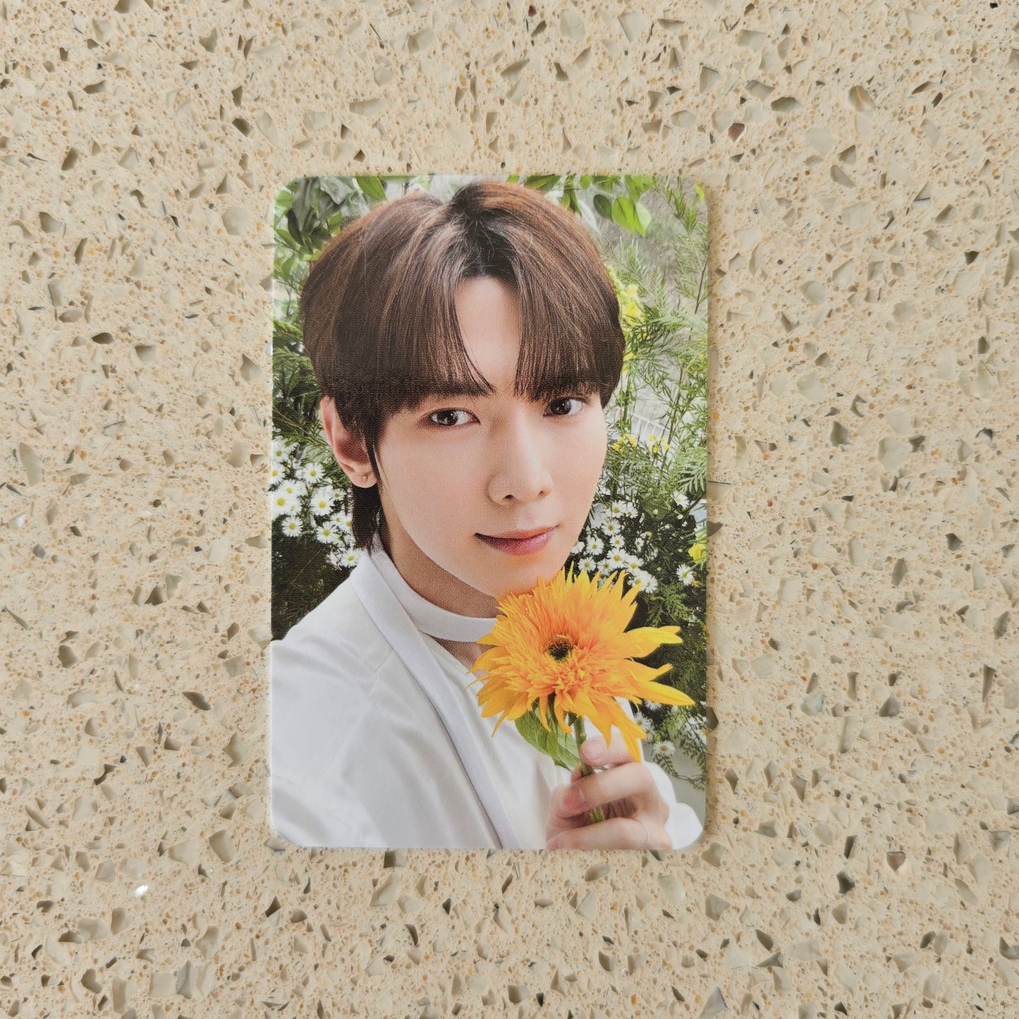 ATEEZ - NACIFIC FLOWERING DAY PHOTOCARDS