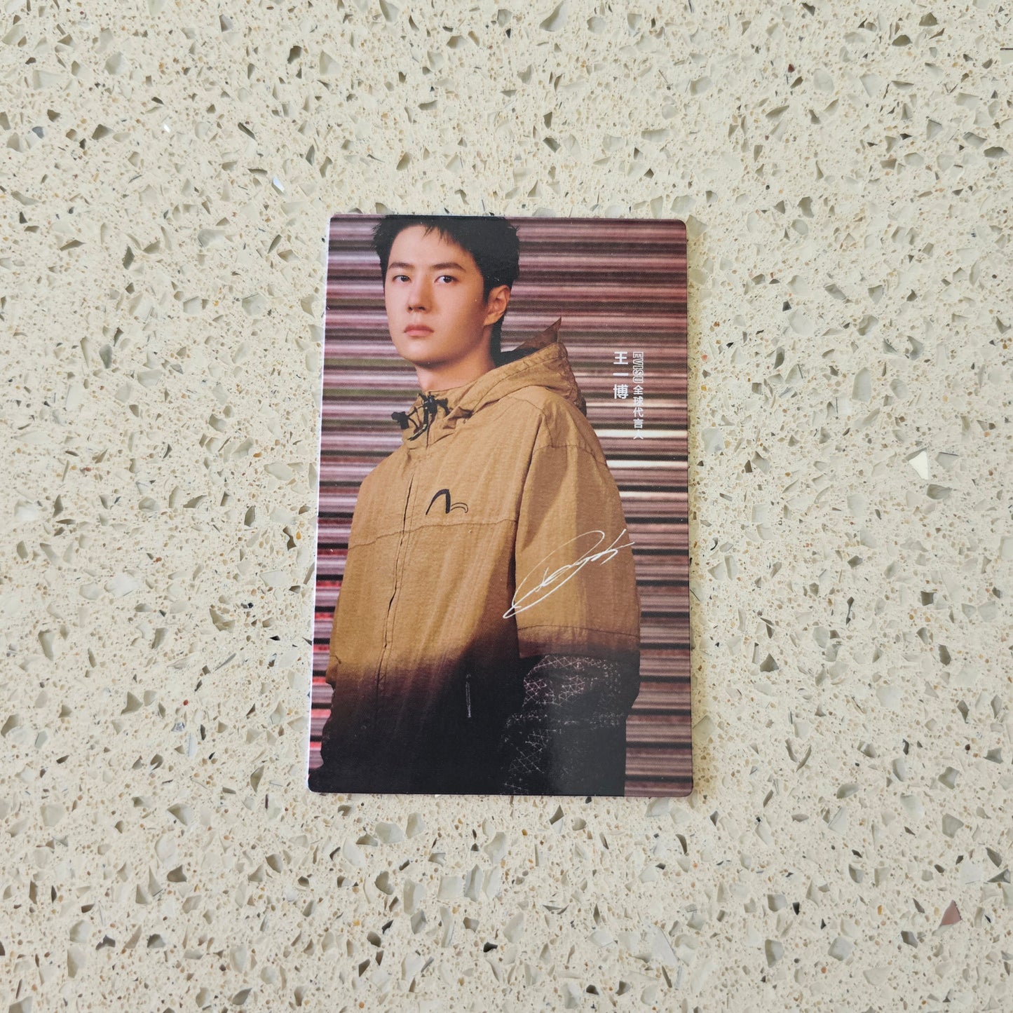 WANG YIBO - EVISU PHOTOCARDS