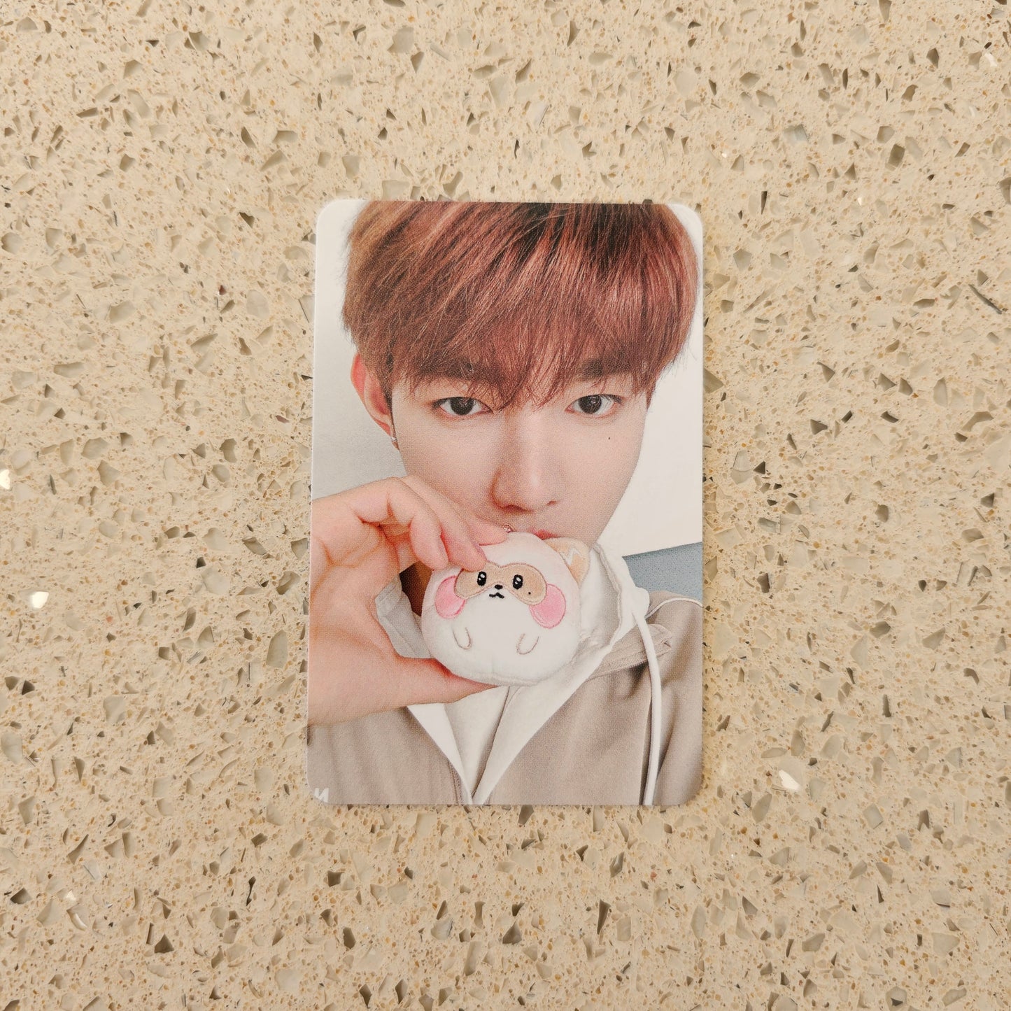 ZEROBASEONE X LINE FRIENDS ZERONI REWARD PHOTOCARDS