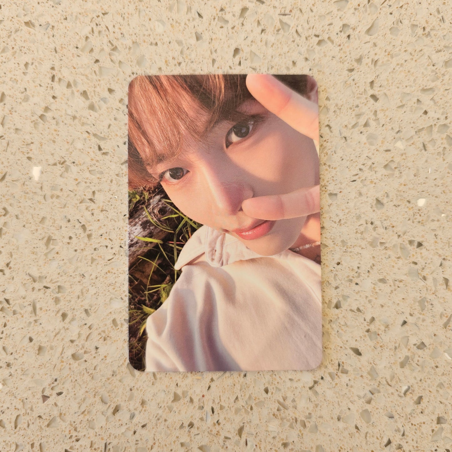 ZEROBASEONE NEVER SAY NEVER PHOTOCARD (SUNG HANBIN VER.)